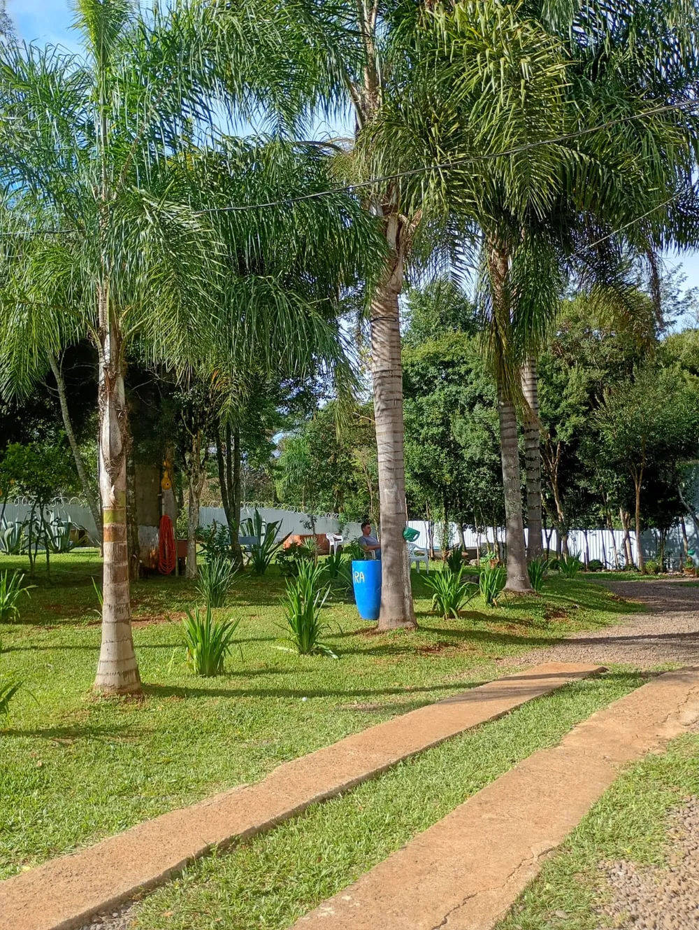 Área de convivência com palmeiras e bancos à sombra