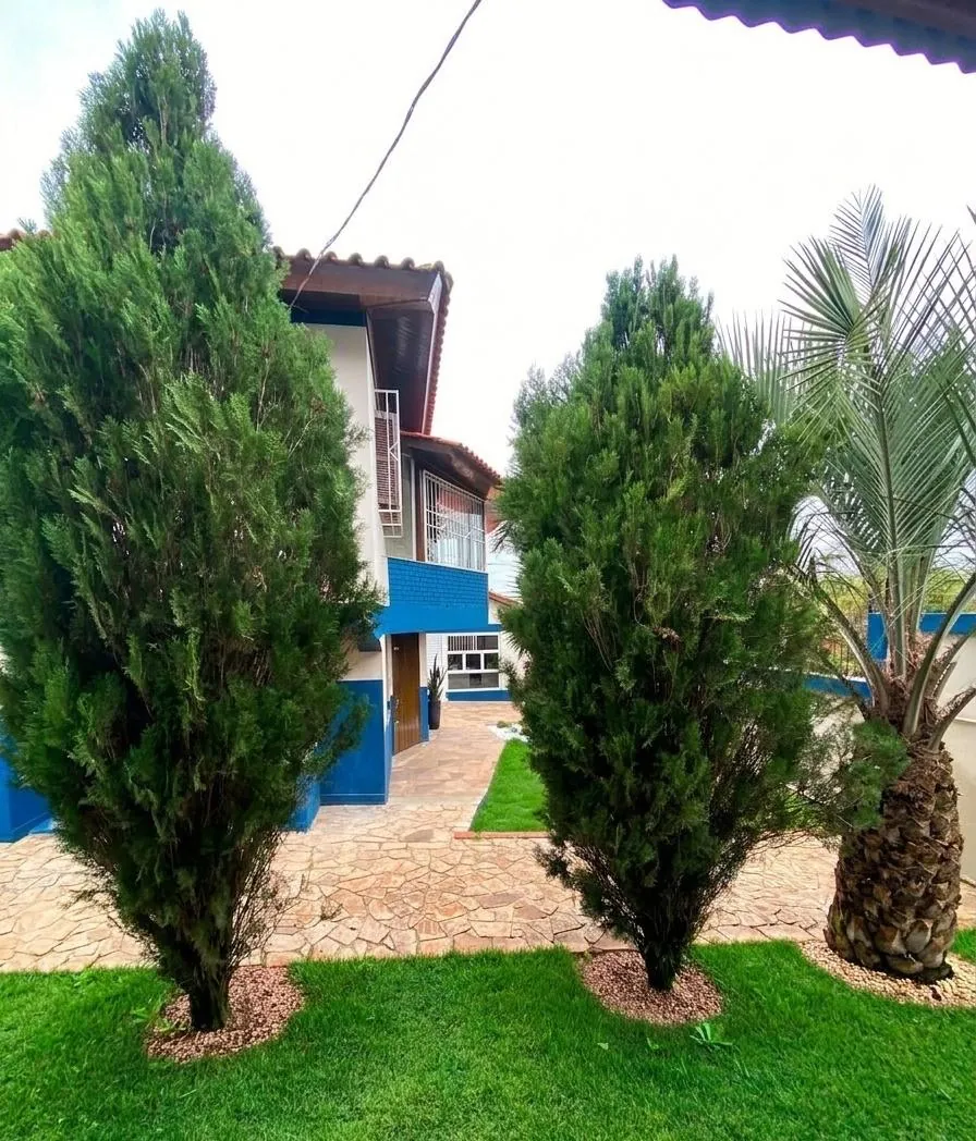 Jardim com ciprestes e palmeira em frente à casa azul e branca